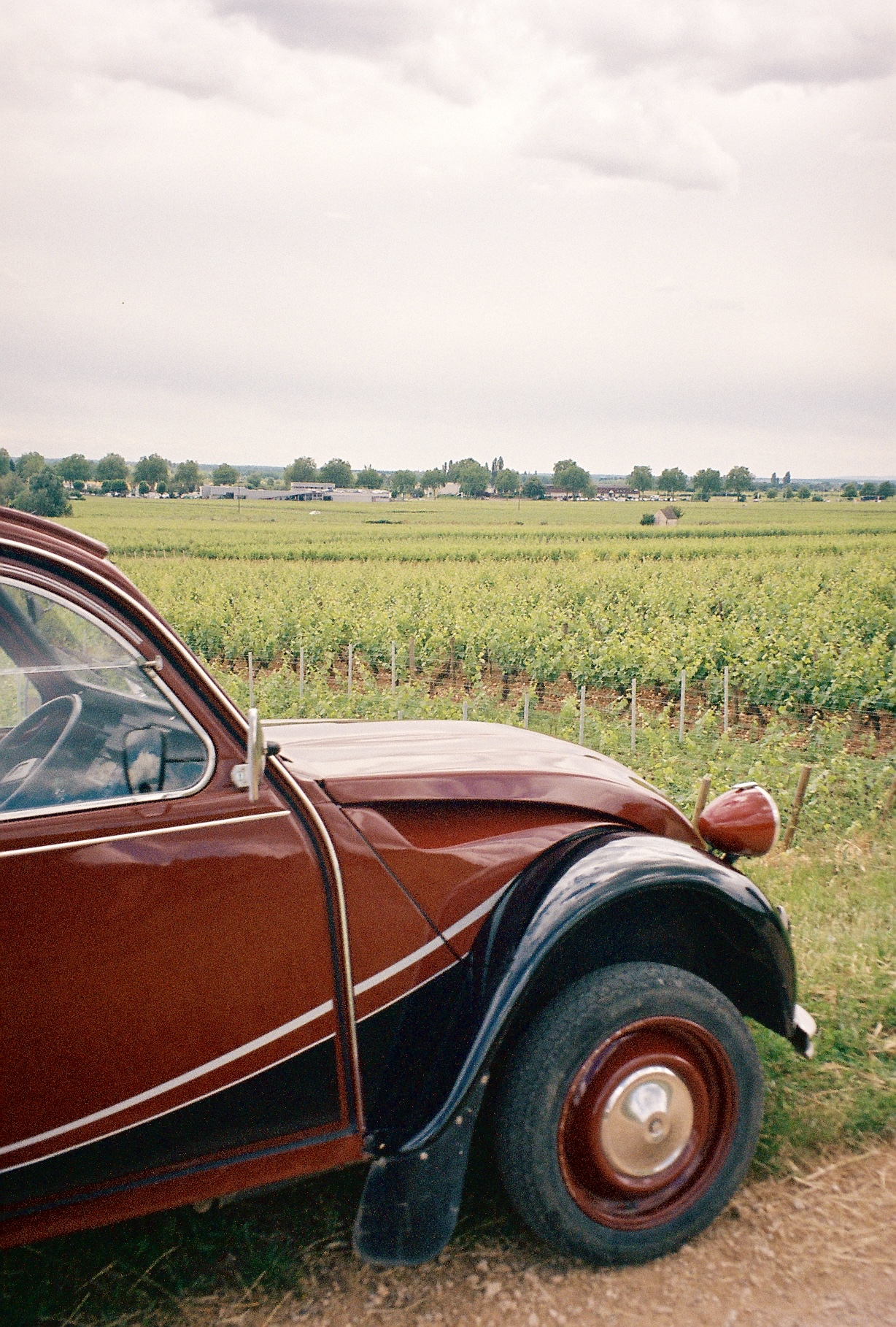 Beaune