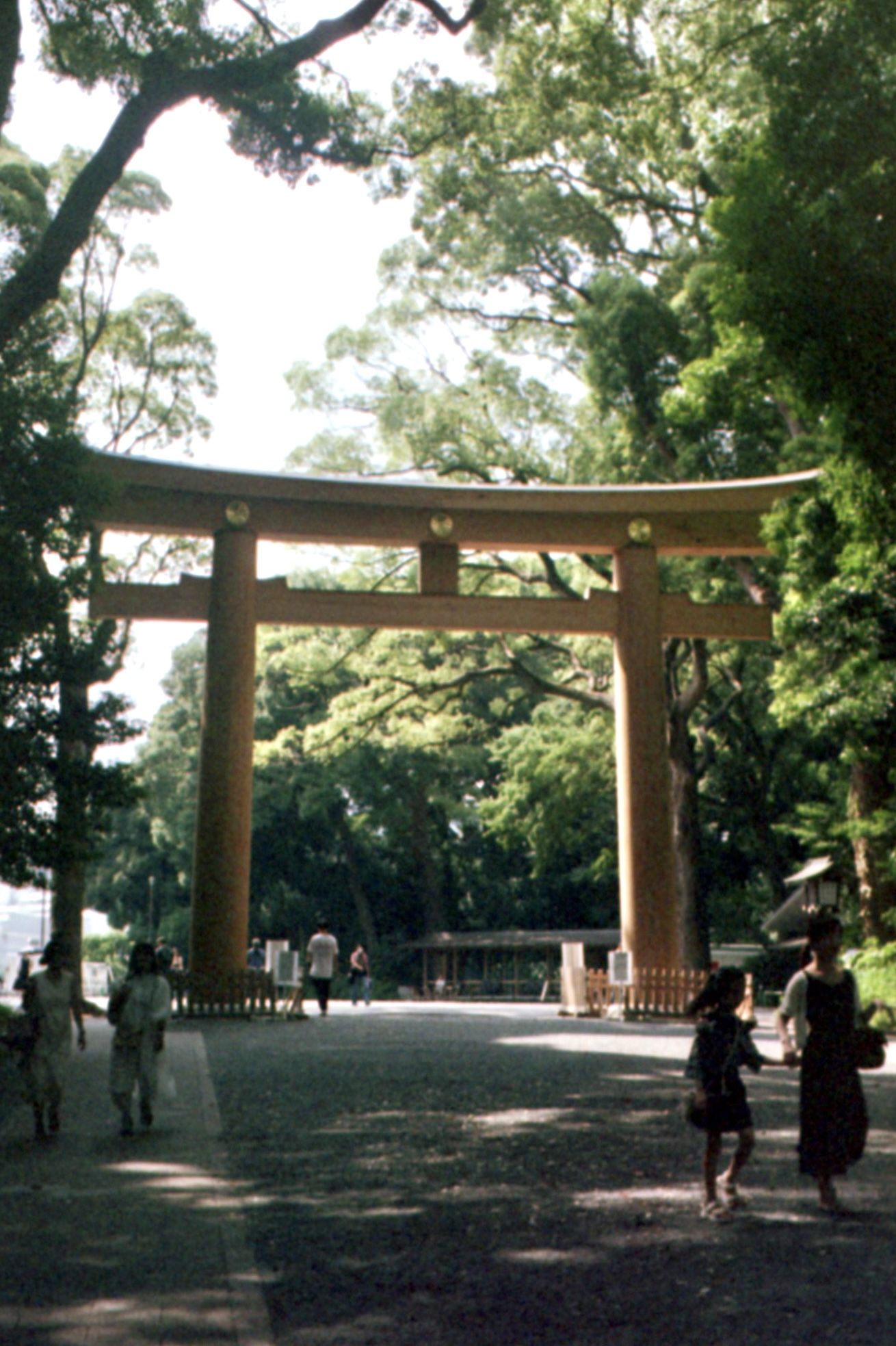 Tokyo Meiji Shrine